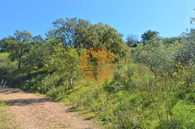 Terreno para Venda em Santa Catarina da Fonte do Bispo Foto 2
