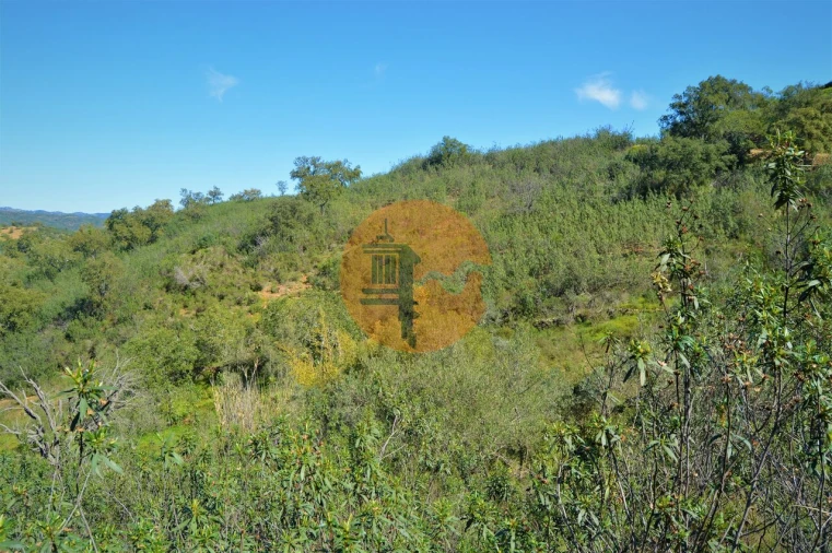 Terreno para Venda em Santa Catarina da Fonte do Bispo Foto 5