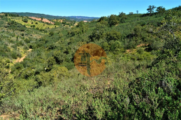 Terreno para Venda em Santa Catarina da Fonte do Bispo Foto 6