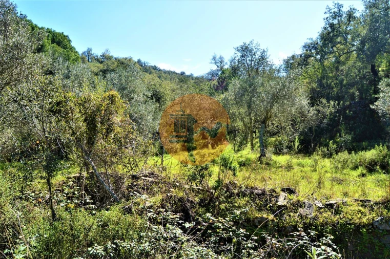 Terreno para Venda em Santa Catarina da Fonte do Bispo Foto 9