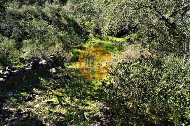 Terreno para Venda em Santa Catarina da Fonte do Bispo Foto 11