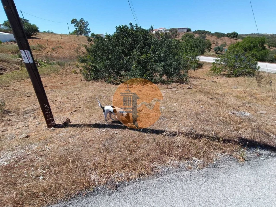 Moradia T2 para Venda em Azinhal Foto 10