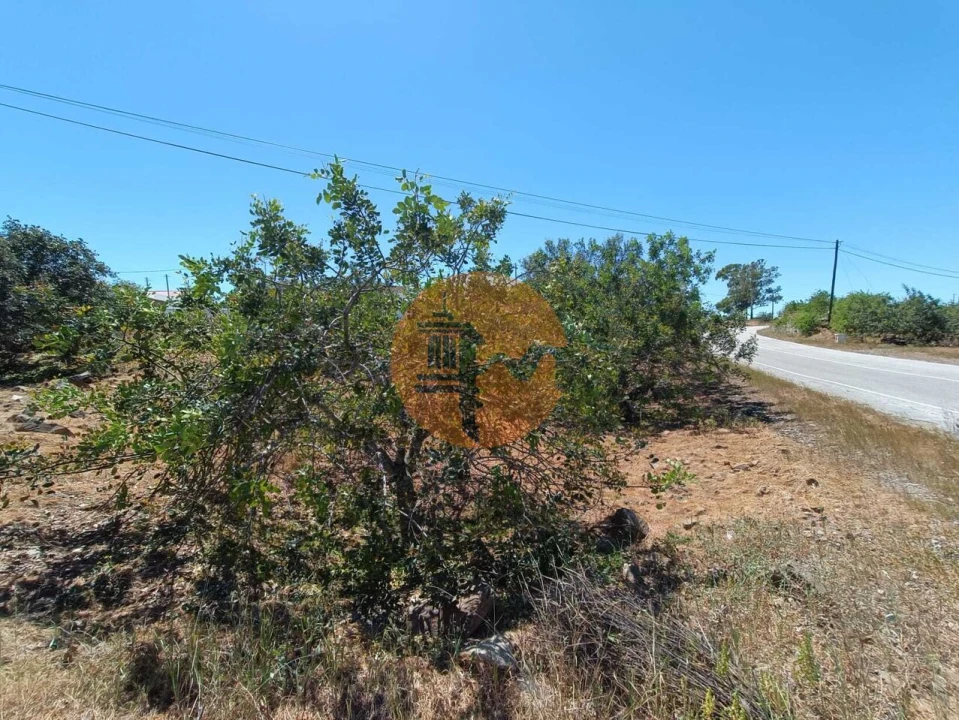 Moradia T2 para Venda em Azinhal Foto 24