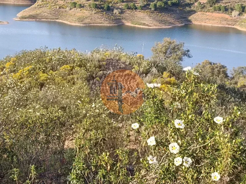 Terreno para Venda em Azinhal Foto 6
