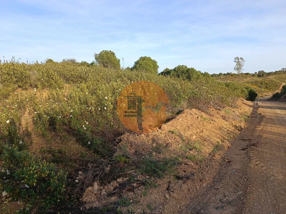 Terreno para Venda em Azinhal Foto 7