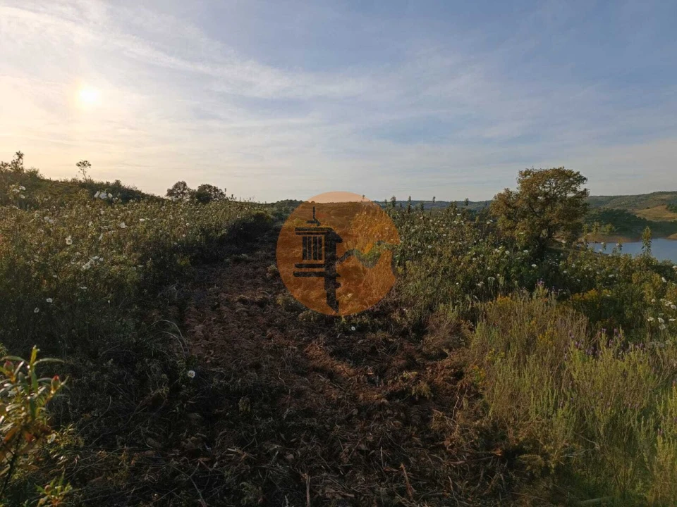 Terreno para Venda em Azinhal Foto 10
