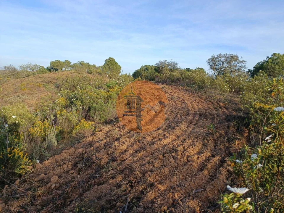 Terreno para Venda em Azinhal Foto 13