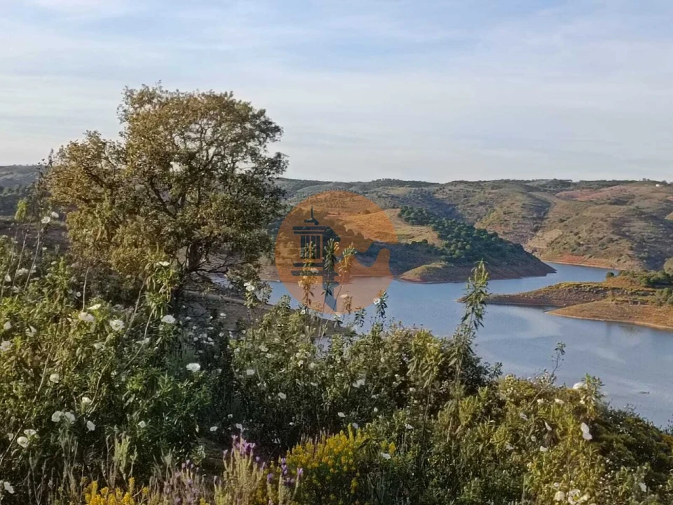 Terreno para Venda em Azinhal Foto 14