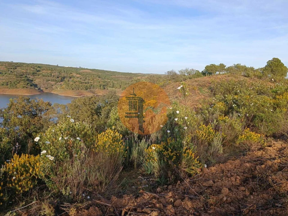 Terreno para Venda em Azinhal Foto 15