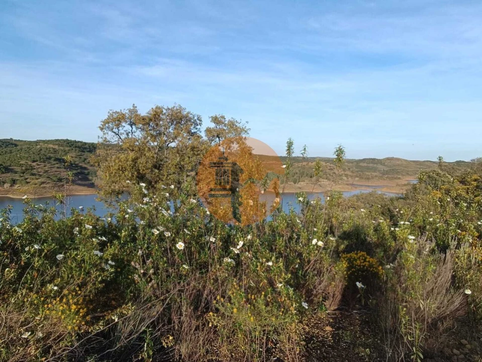 Terreno para Venda em Azinhal Foto 23