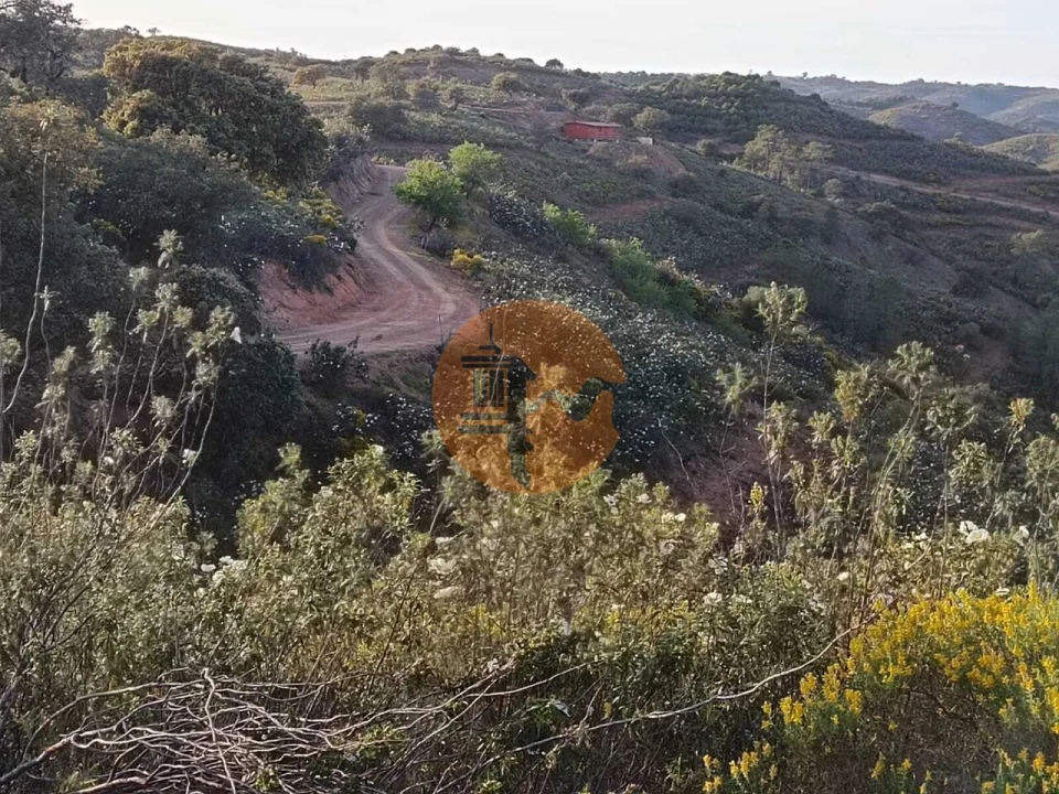 Terreno para Venda em Azinhal Foto 24