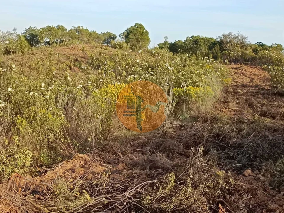 Terreno para Venda em Azinhal Foto 34