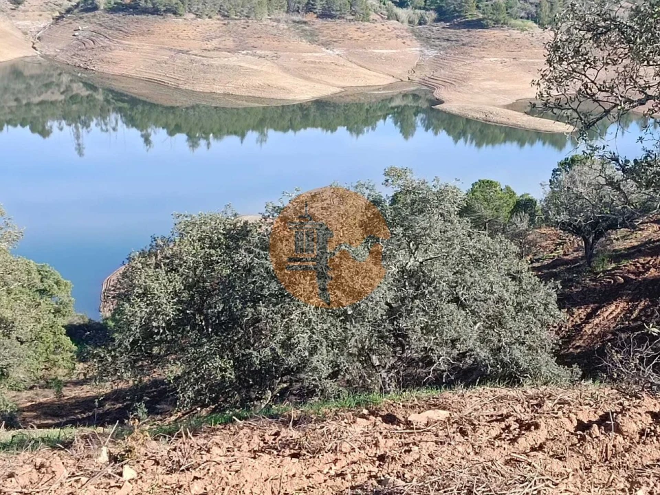 Terreno para Venda em Azinhal Foto 9