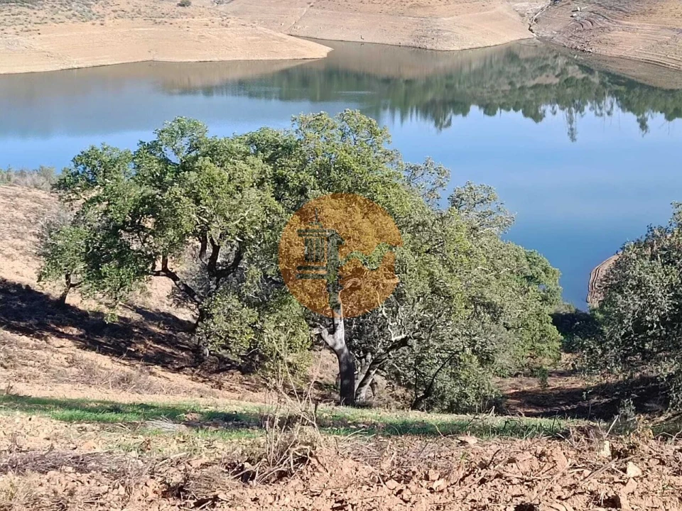 Terreno para Venda em Azinhal Foto 11