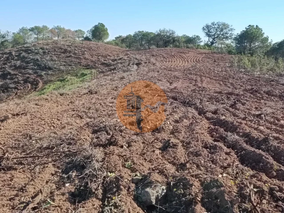 Terreno para Venda em Azinhal Foto 16