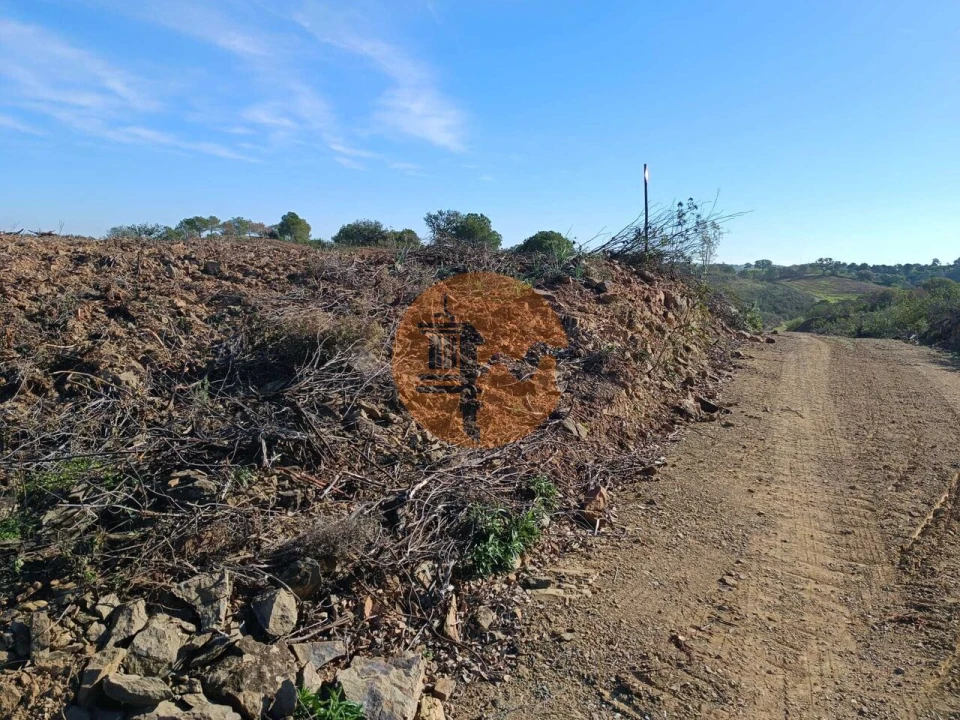Terreno para Venda em Azinhal Foto 21
