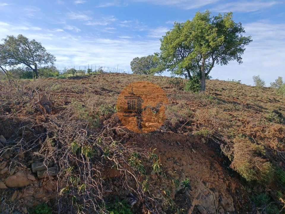 Terreno para Venda em Azinhal Foto 27