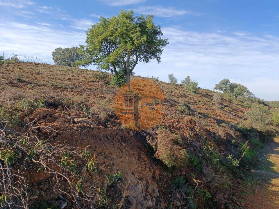 Terreno para Venda em Azinhal Foto 29