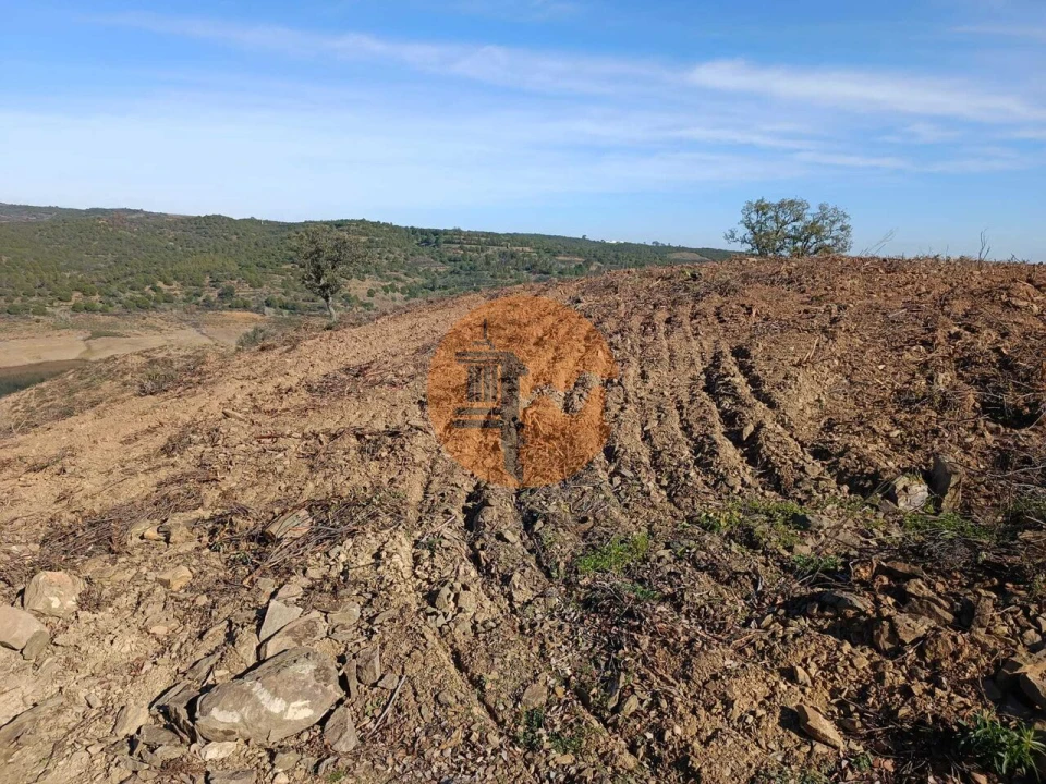 Terreno para Venda em Azinhal Foto 32