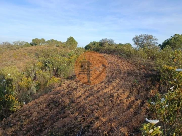 Terreno para Venda em Azinhal