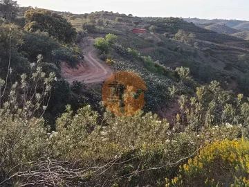 Terreno para Venda em Azinhal