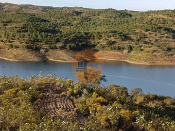 Terreno para Venda em Azinhal