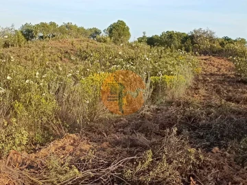 Terreno para Venda em Azinhal