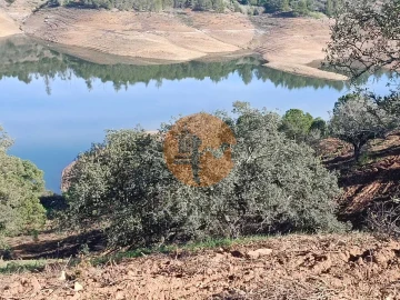 Terreno para Venda em Azinhal