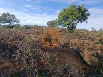 Terreno para Venda em Azinhal