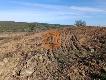 Terreno para Venda em Azinhal