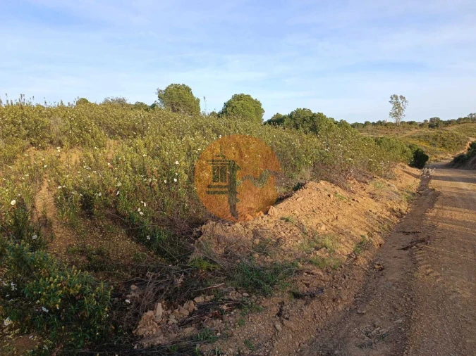 Terreno para Venda em Azinhal Foto 7