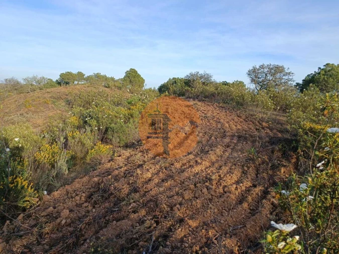 Terreno para Venda em Azinhal Foto 13