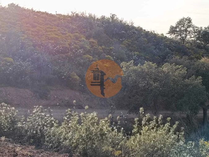Terreno para Venda em Azinhal Foto 28