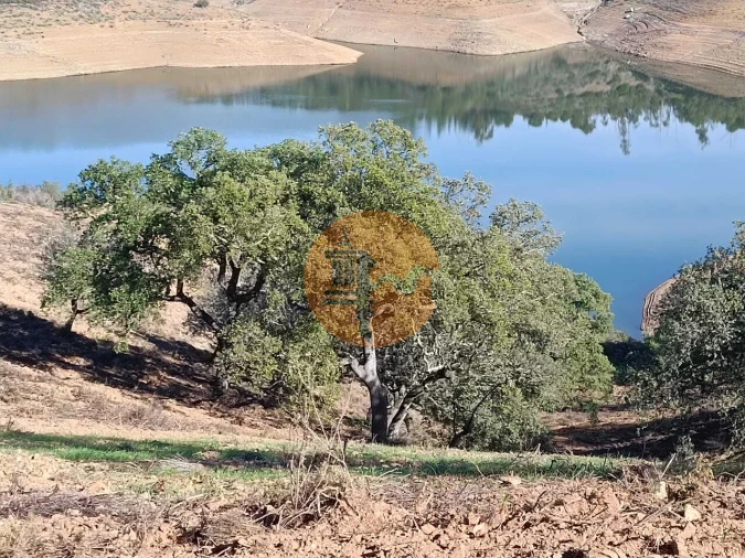 Terreno para Venda em Azinhal Foto 11