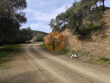 Terreno para Venda em Odeleite