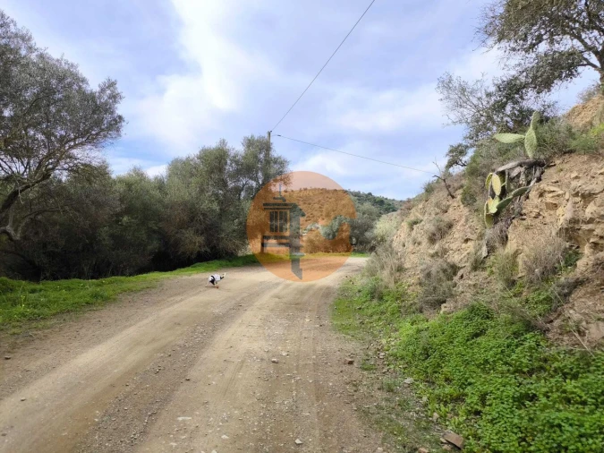 Terreno para Venda em Odeleite Foto 9
