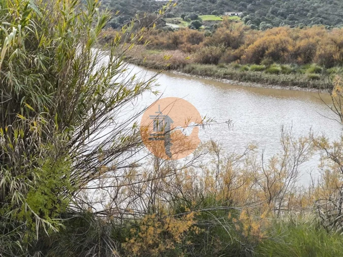 Terreno para Venda em Odeleite Foto 5