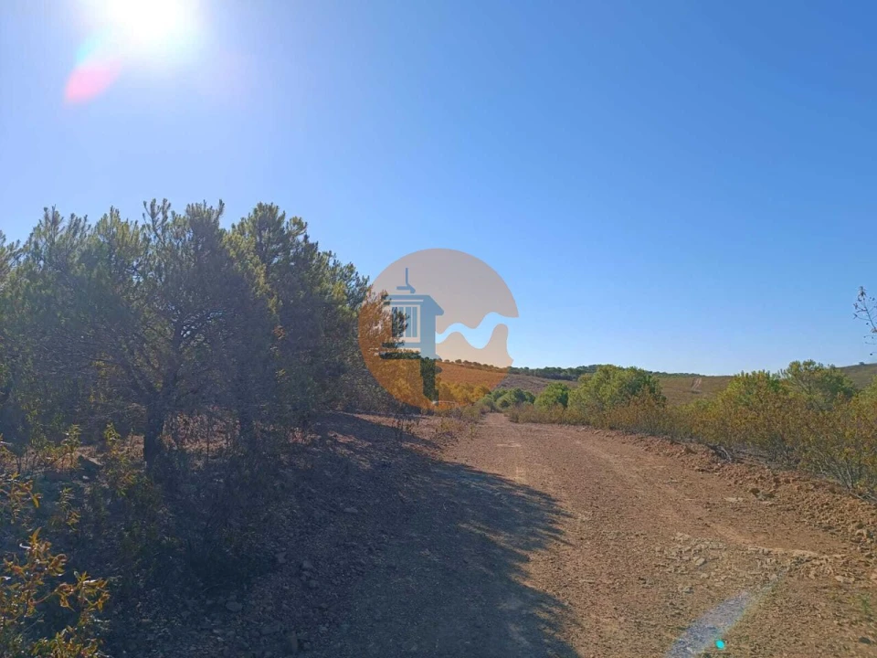 Terreno para Venda em Vaqueiros Foto 9