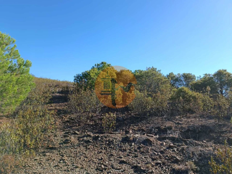 Terreno para Venda em Vaqueiros Foto 7