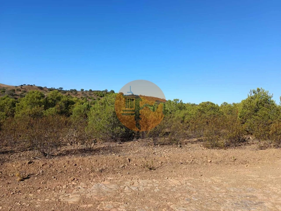 Terreno para Venda em Vaqueiros Foto 19