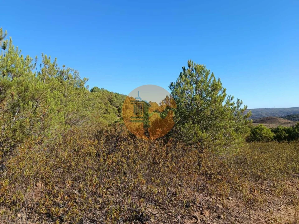 Terreno para Venda em Vaqueiros Foto 22