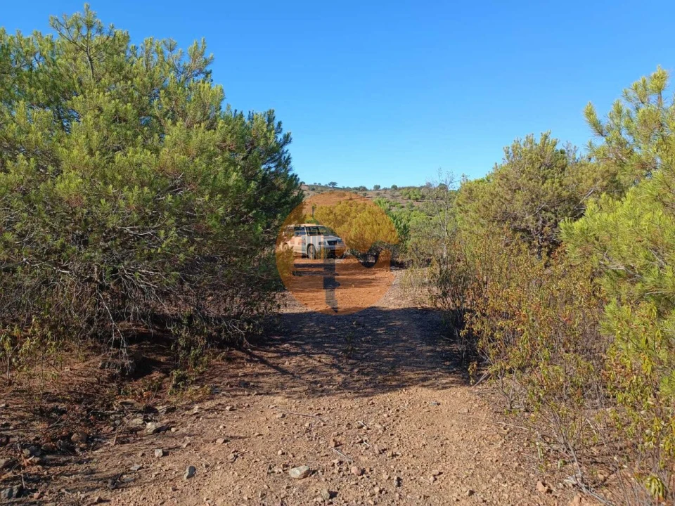 Terreno para Venda em Vaqueiros Foto 29