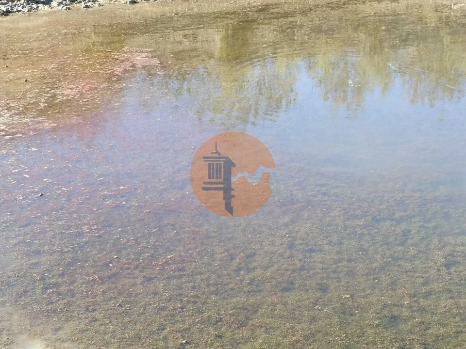 Terreno para Venda em Vaqueiros Foto 32