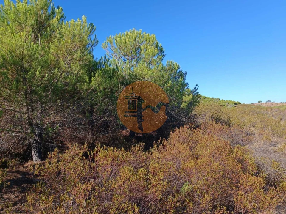 Terreno para Venda em Vaqueiros Foto 35