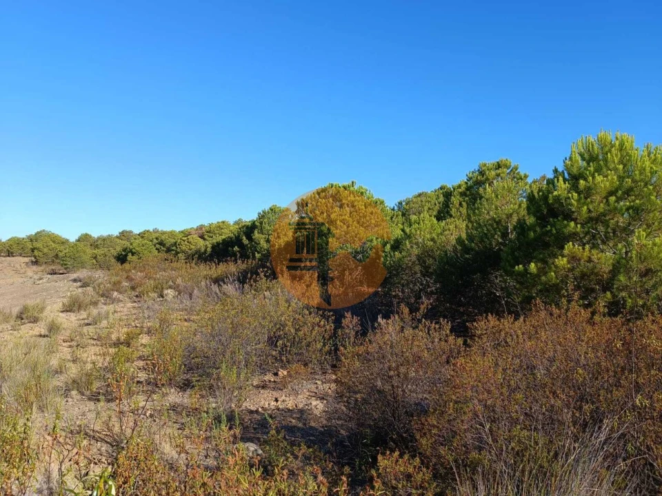 Terreno para Venda em Vaqueiros Foto 37