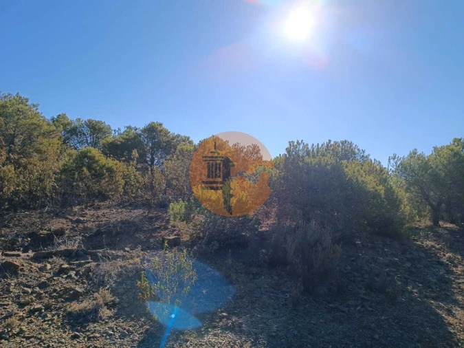 Terreno para Venda em Vaqueiros Foto 4