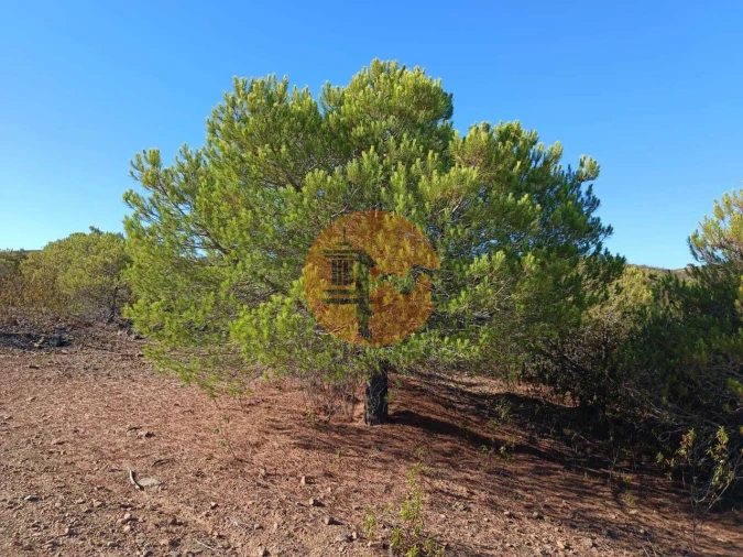 Terreno para Venda em Vaqueiros Foto 10