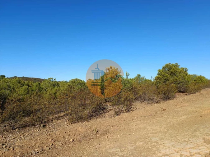 Terreno para Venda em Vaqueiros Foto 18