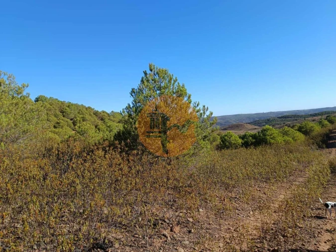 Terreno para Venda em Vaqueiros Foto 21