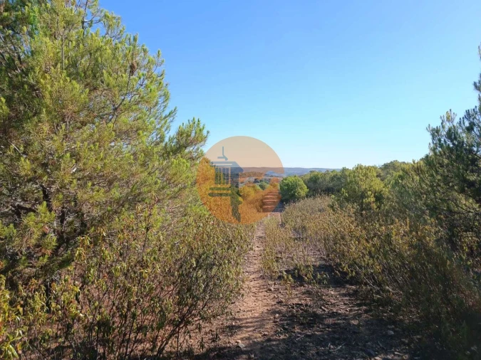 Terreno para Venda em Vaqueiros Foto 23